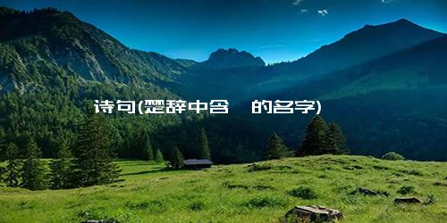 钰 诗句(楚辞中含钰的名字)